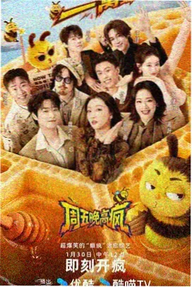 迅雷极速综艺在线观看