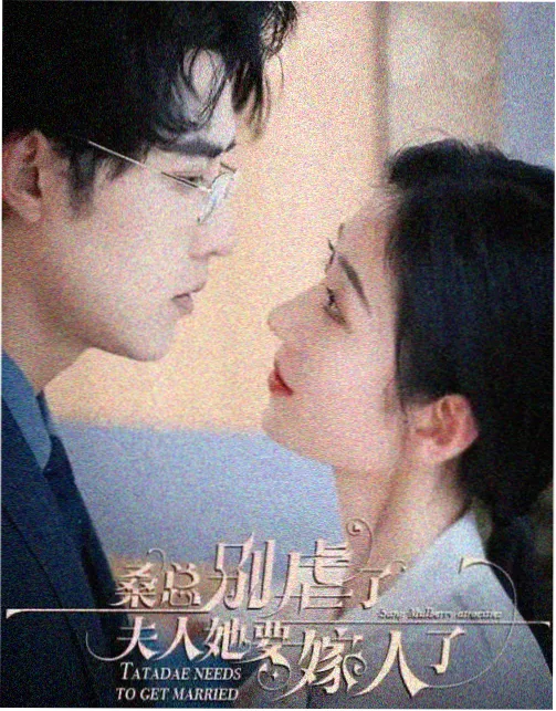 热播电视剧合集